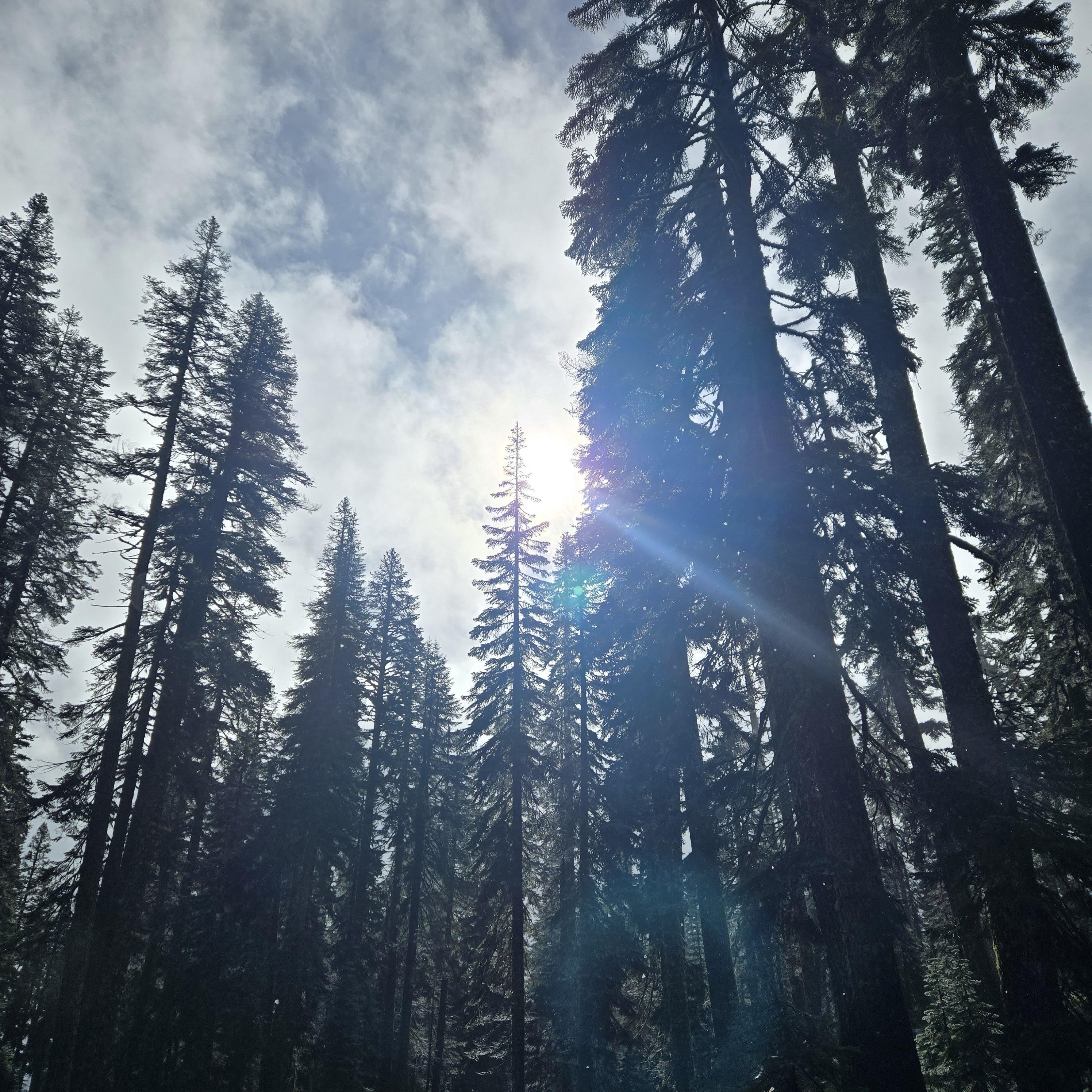 meditation, Mount Shasta